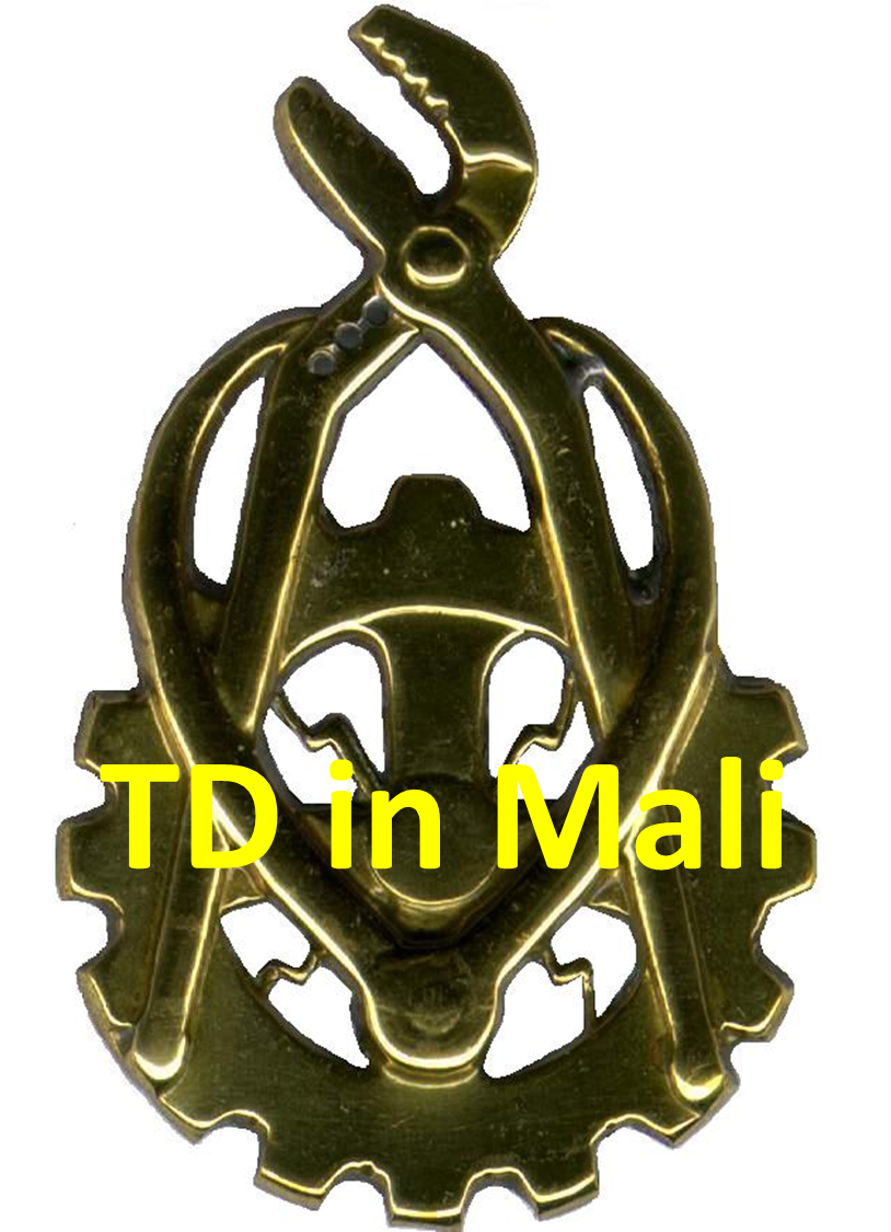 TD in Mali